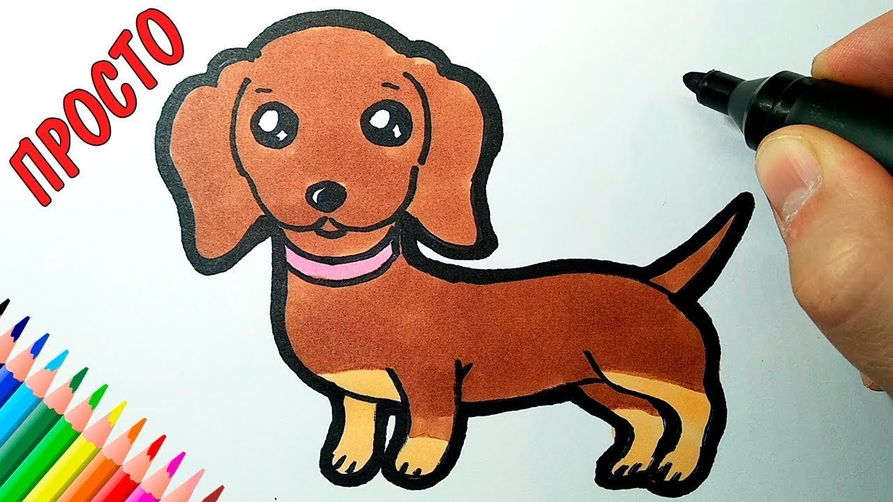 Картинки собак для срисовки