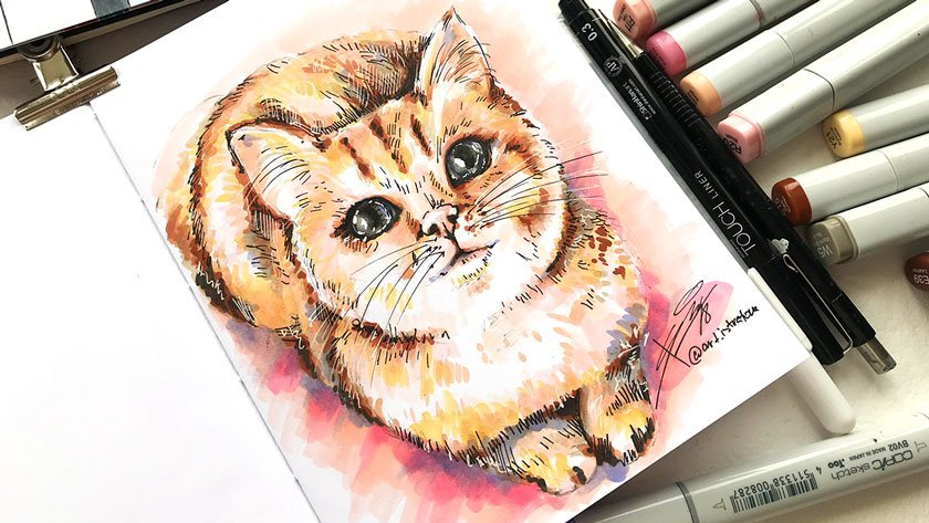 Кот рисунок маркерами