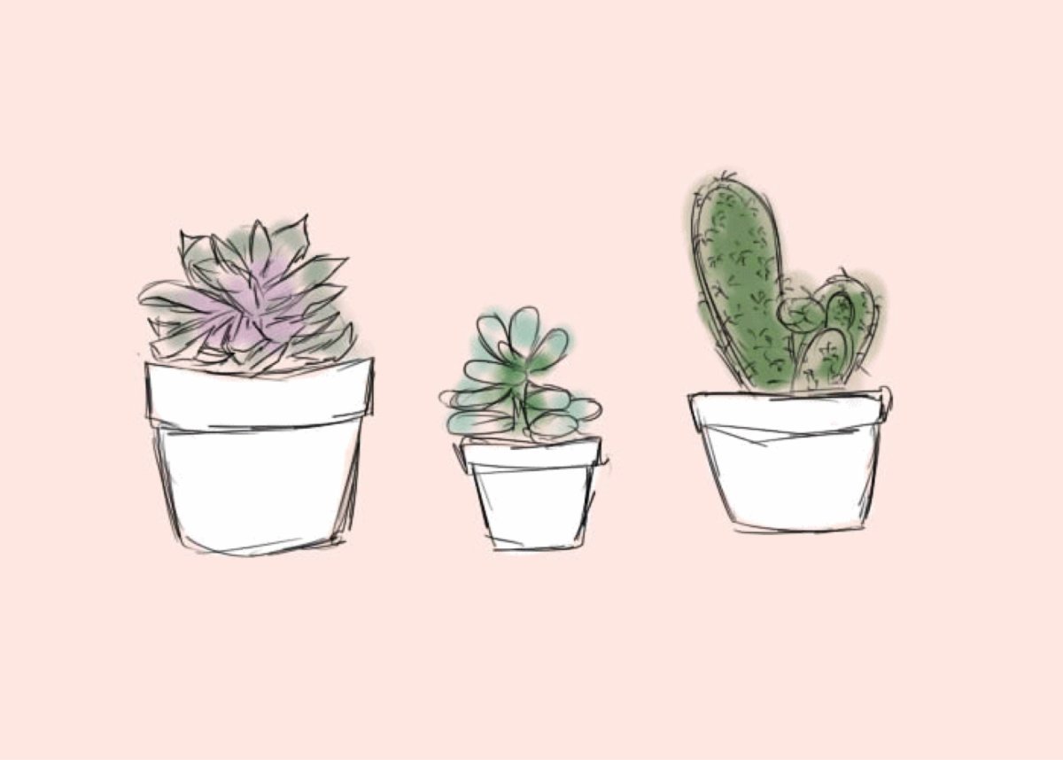 Рисунки для срисовки растения