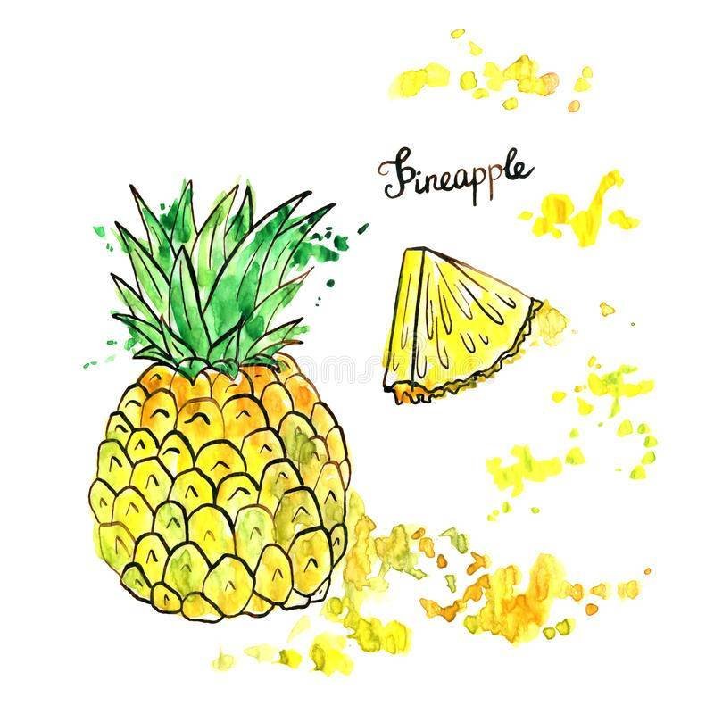Кусочки ананаса рисунок