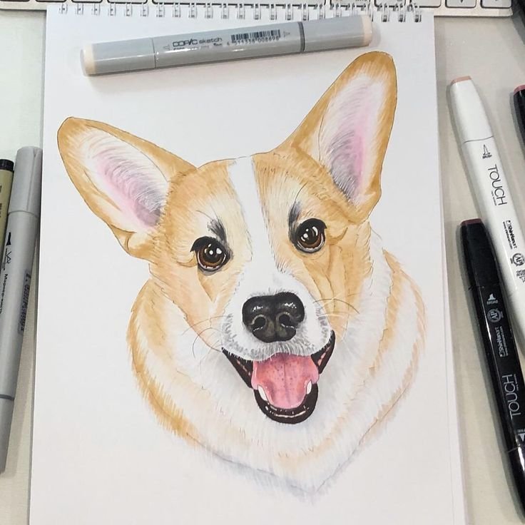 Рисунки собак маркерами
