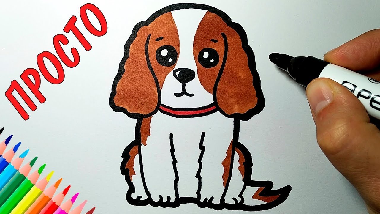 Собаки маркерами рисование