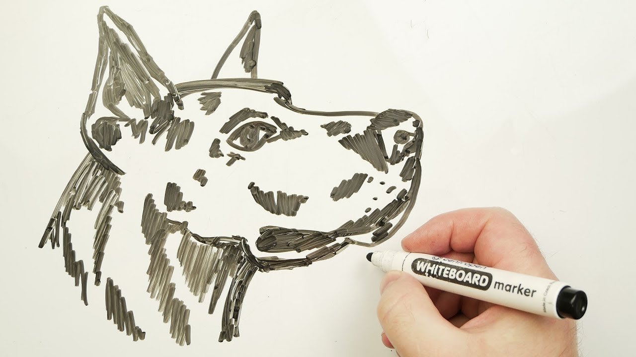 Собака маркерами