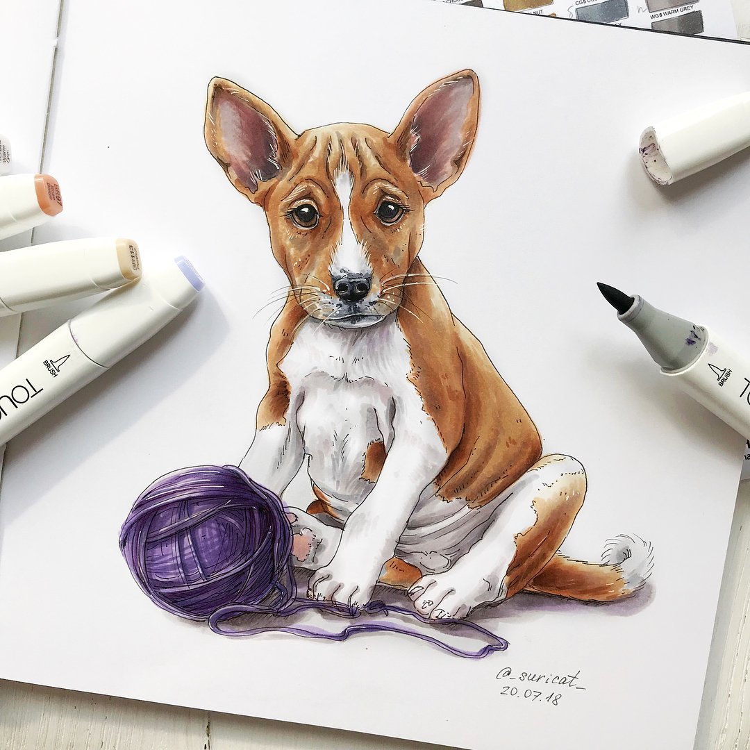 Креативные рисунки собак