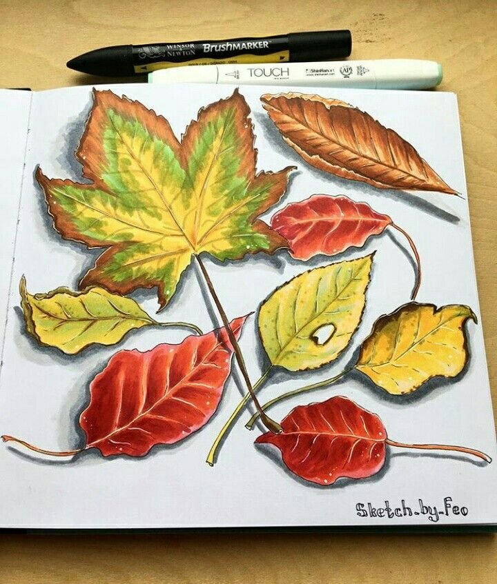 Осенние рисунки маркерами
