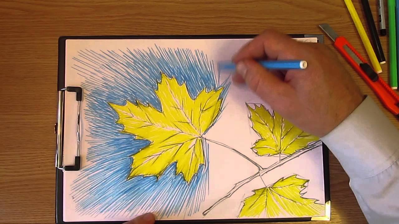 Рисунки для срисовки листья