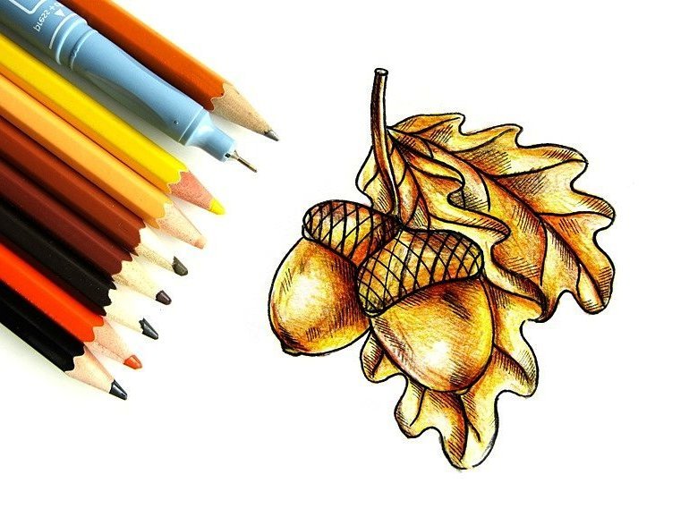 Осенний букет карандашом