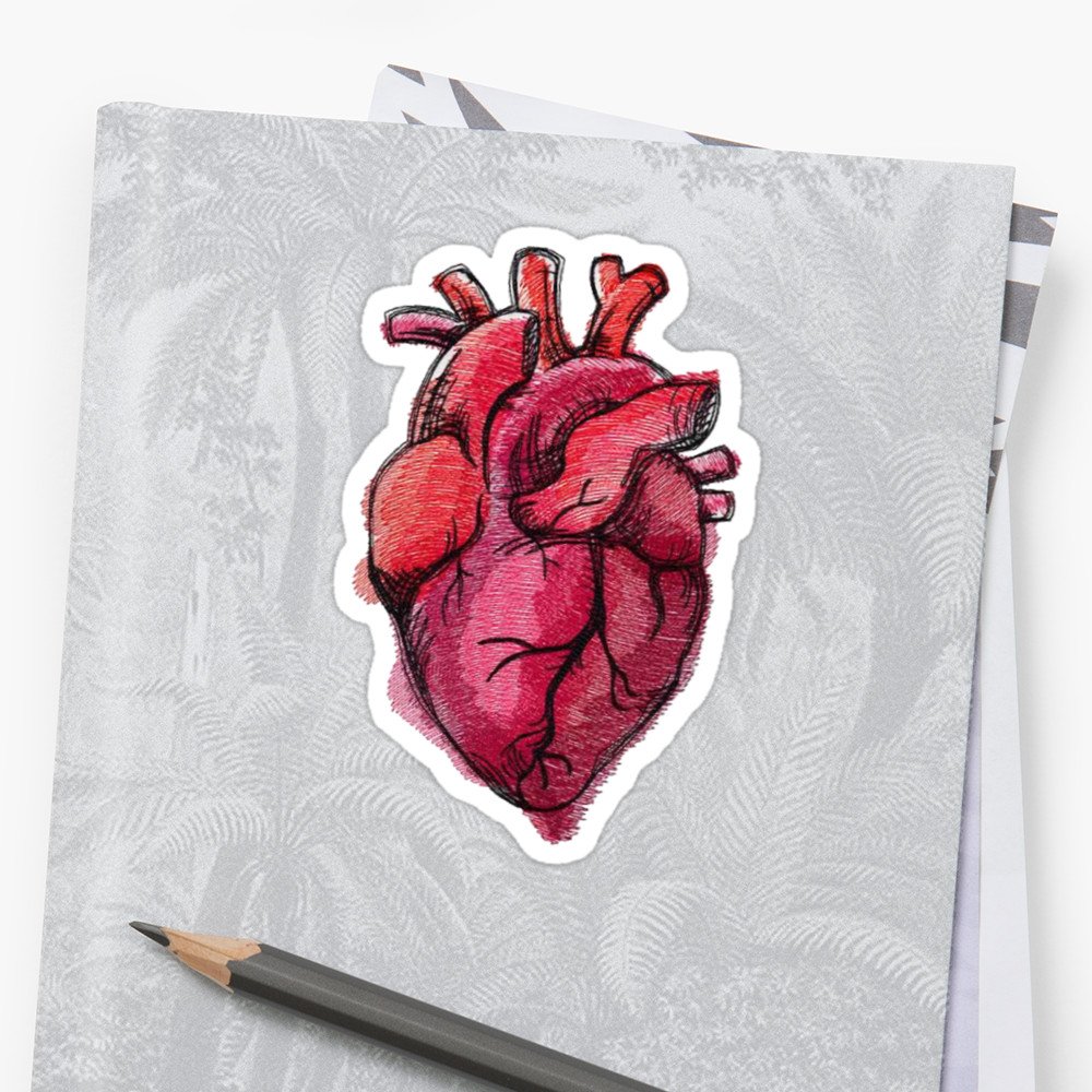 Сердце человека маркерами