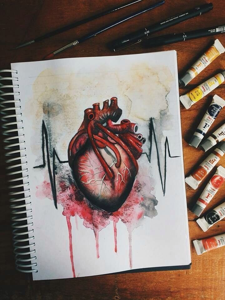 Сердце человека акварелью