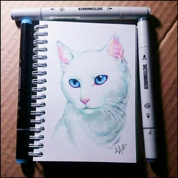 Котики для рисования в скетчбуке