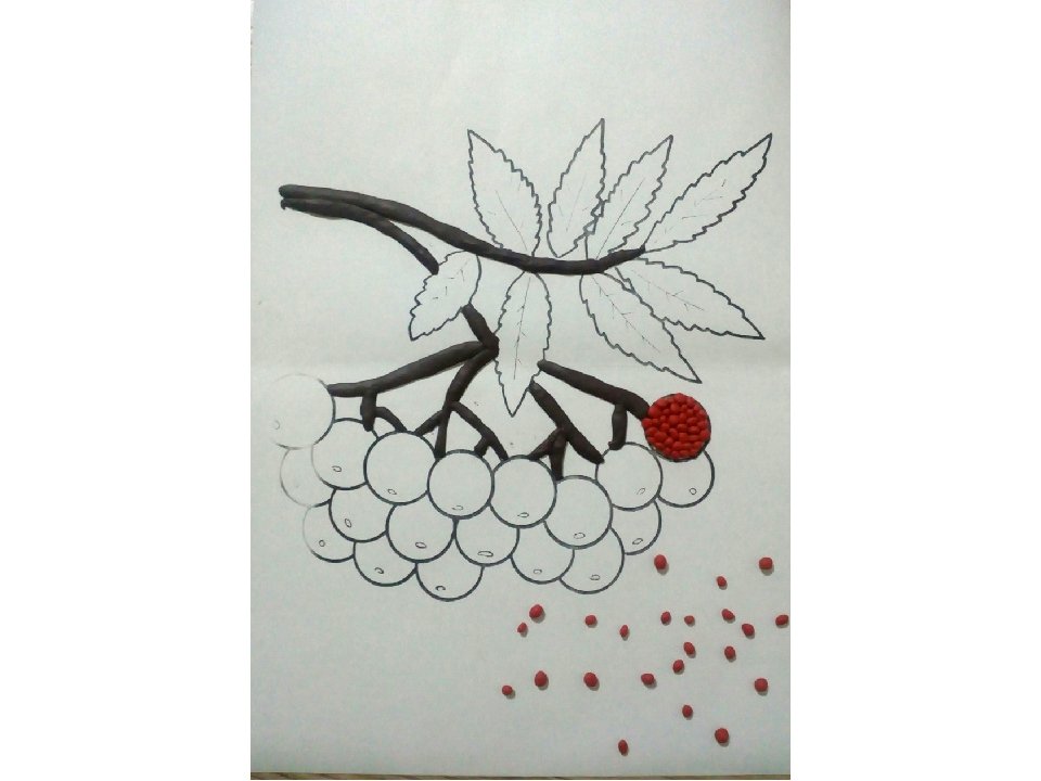 Рисования гроздь рябины на дереве
