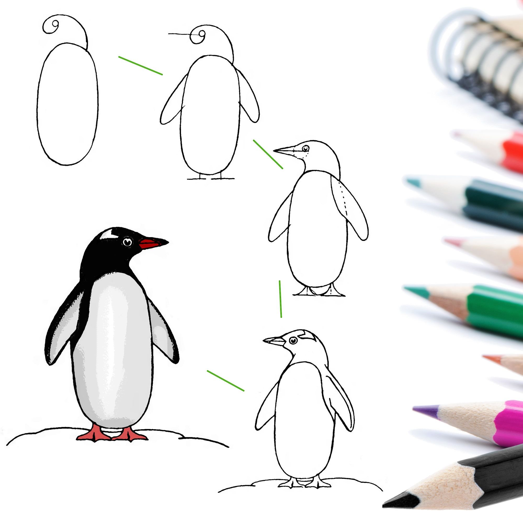 Уроки рисования для детей Пингвин