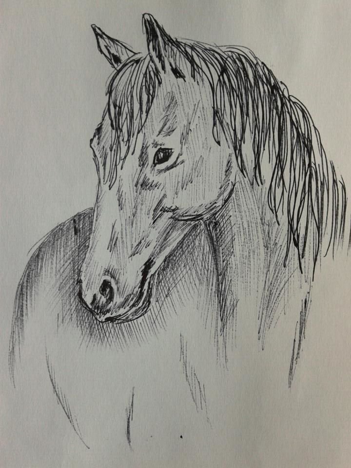 Портрет лошади карандашом