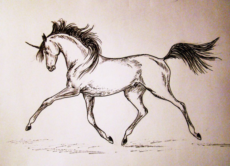 Лошадь ручкой