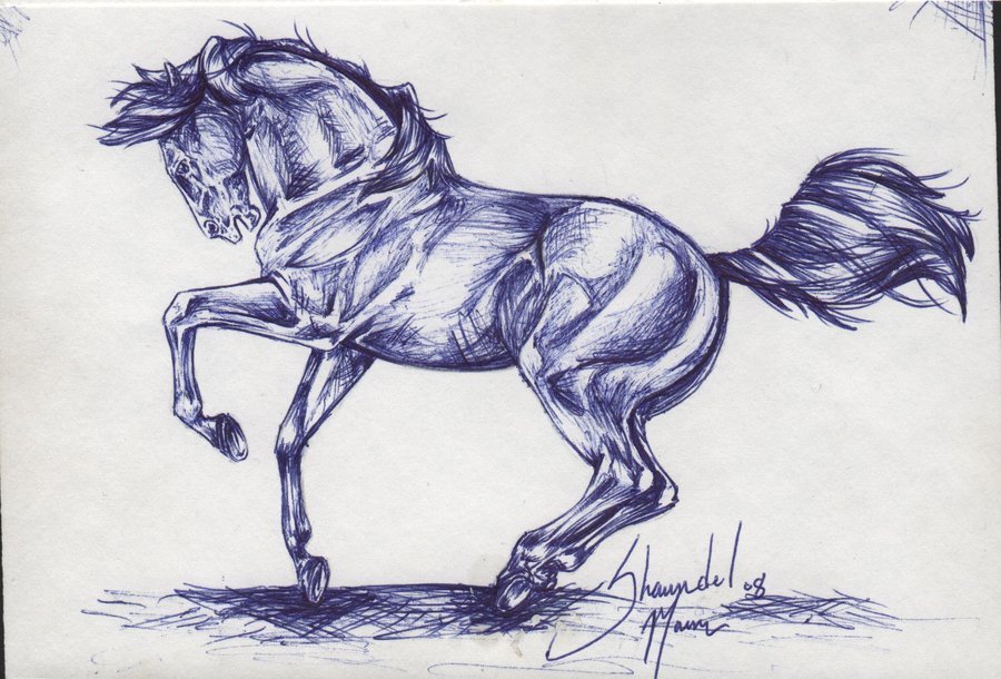 Рисунки лошадей ручкой