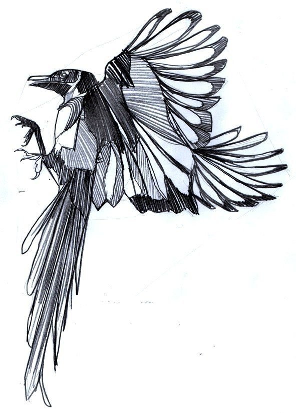 Стилизованная ворона