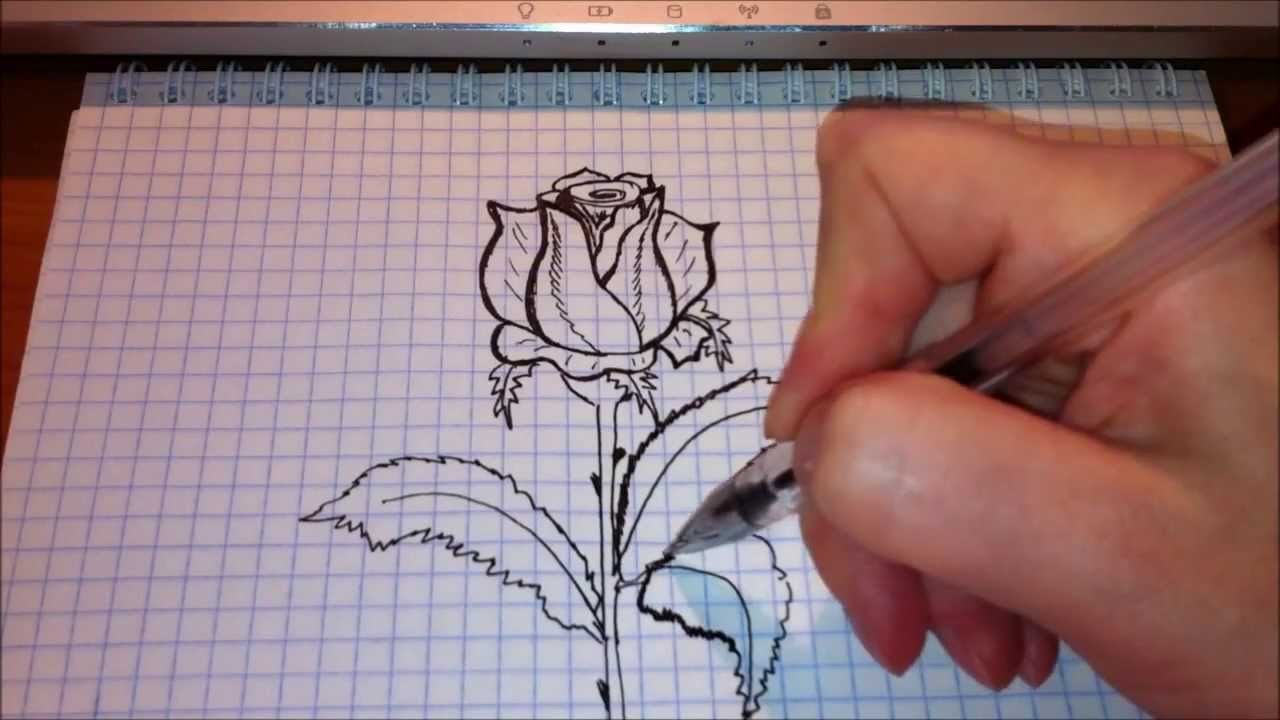 Рисование ручкой для начинающих