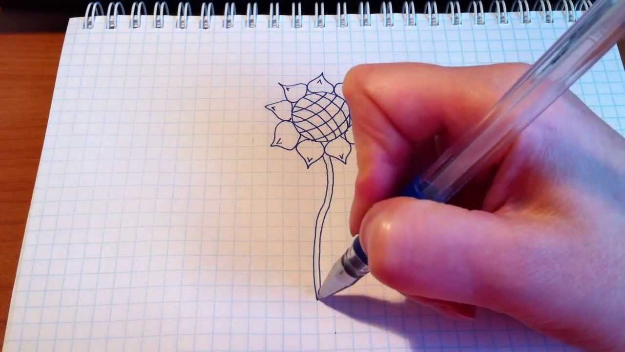 Красивые рисуночки обычной ручкой