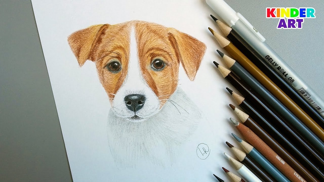 Срисовка пса Джек Рассел