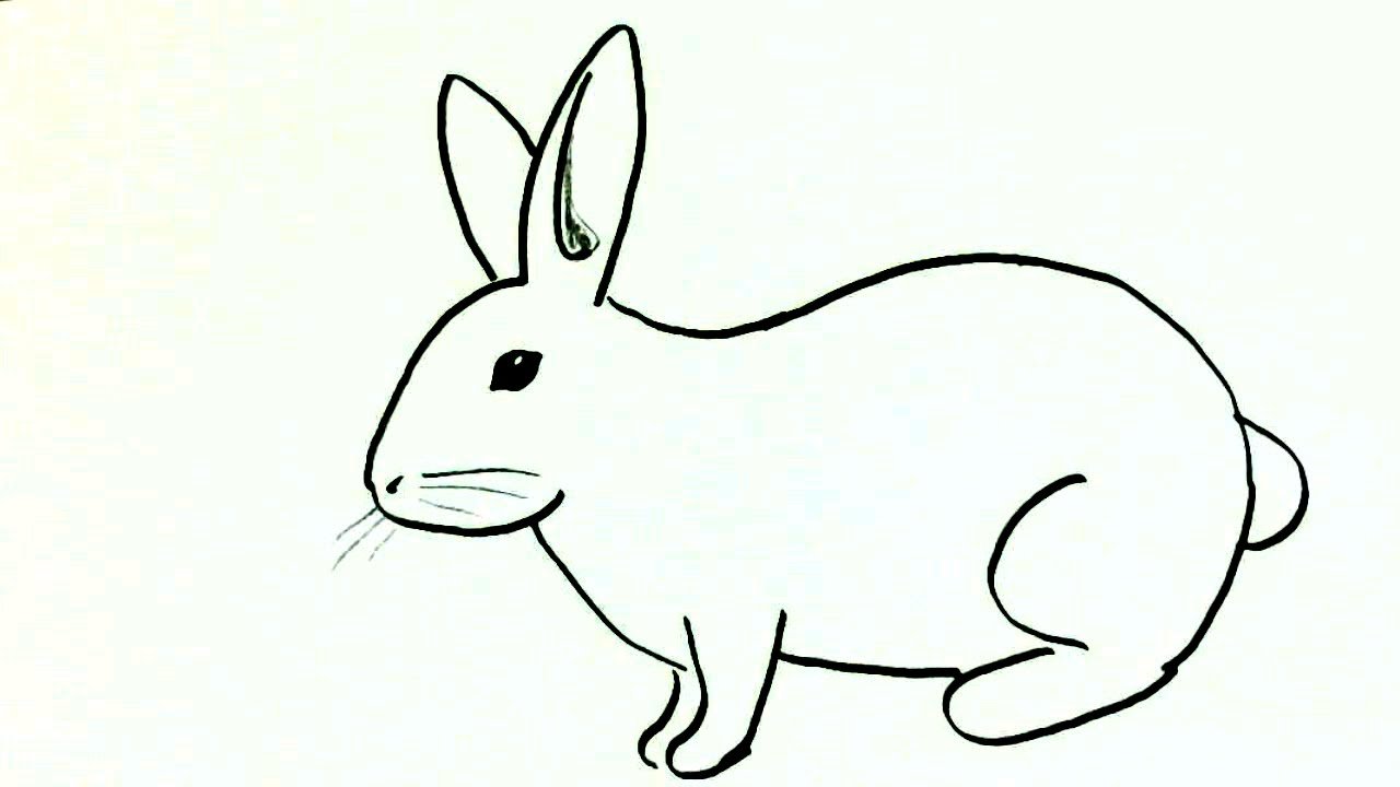 Рисунок зайца 1 класс