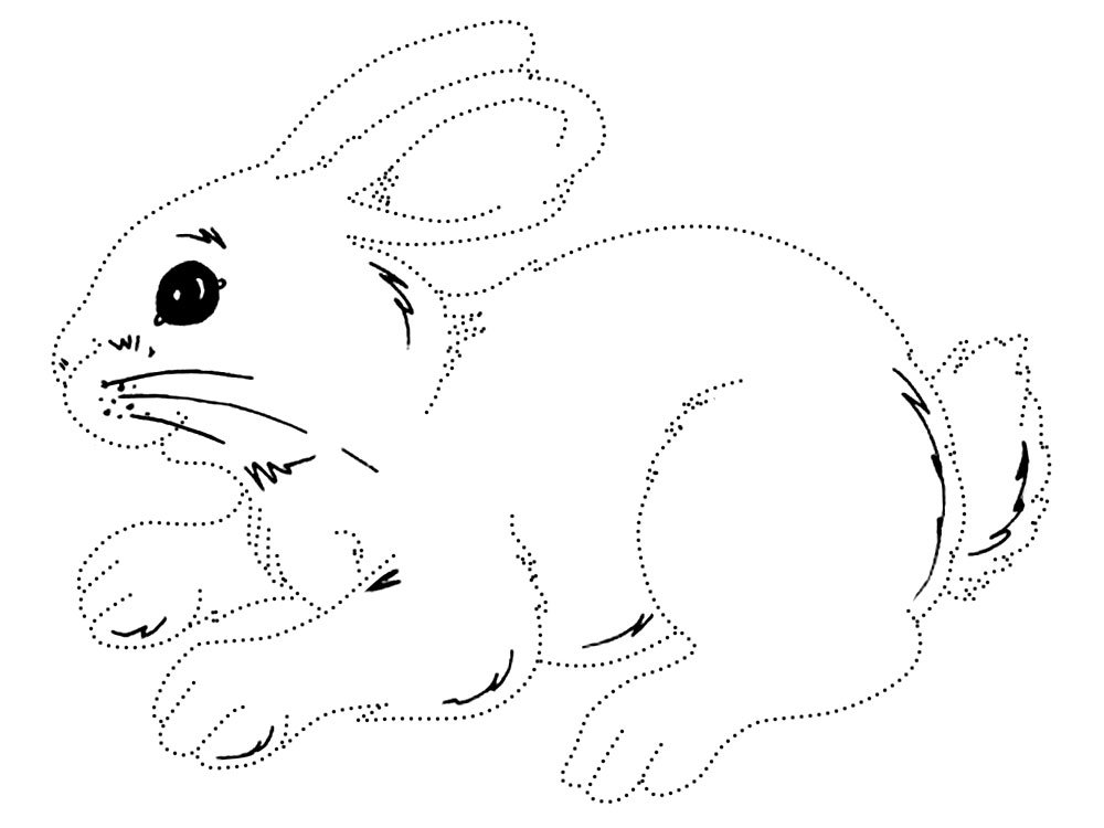 Кролик карандашом для детей