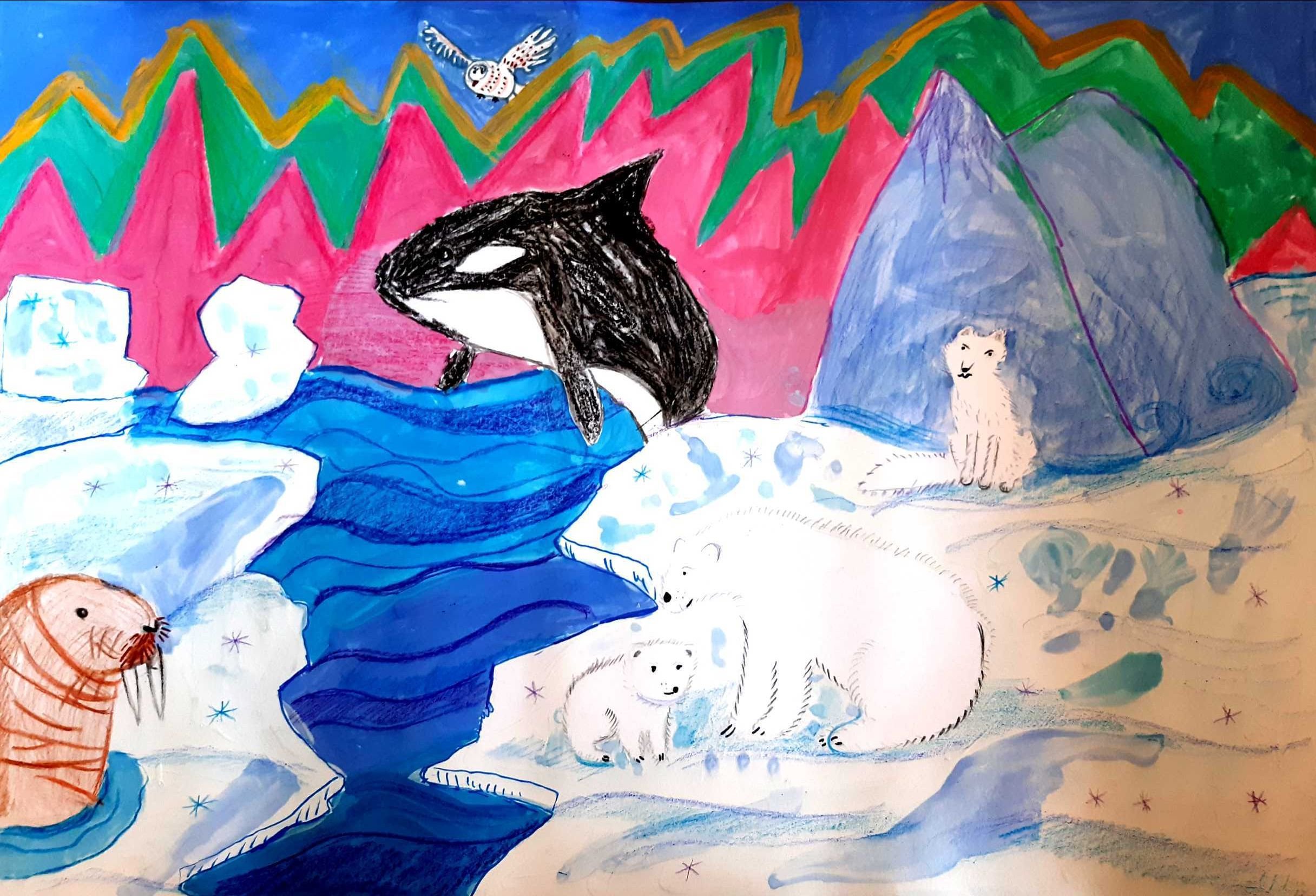 Северное сияние в Арктике рисунок