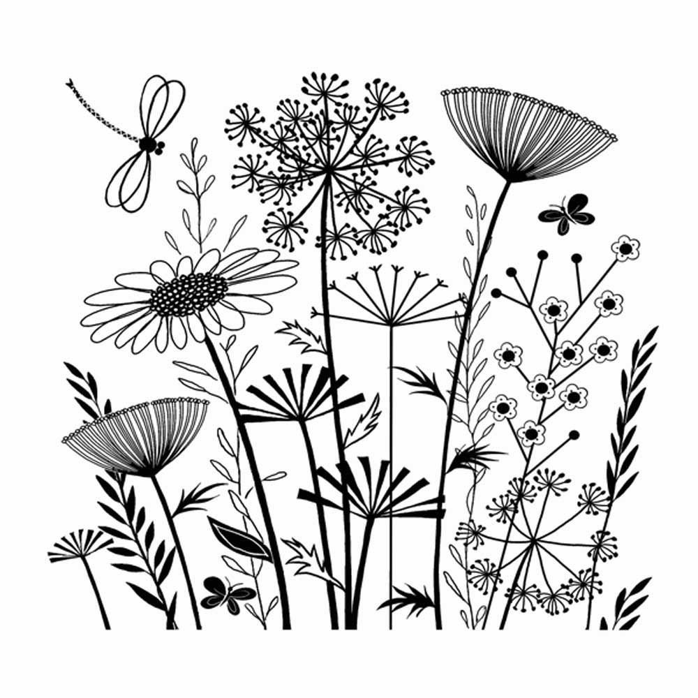 Раскраски полевые цветы и травы