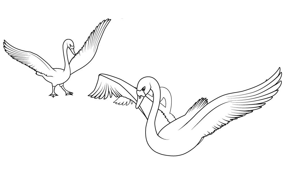 Поэтапное рисование птицы в полёте