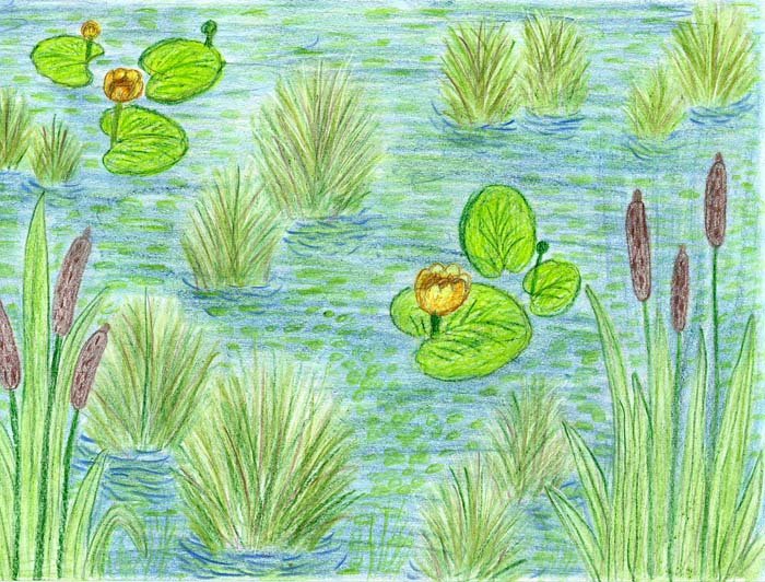 Изображение болота для детей
