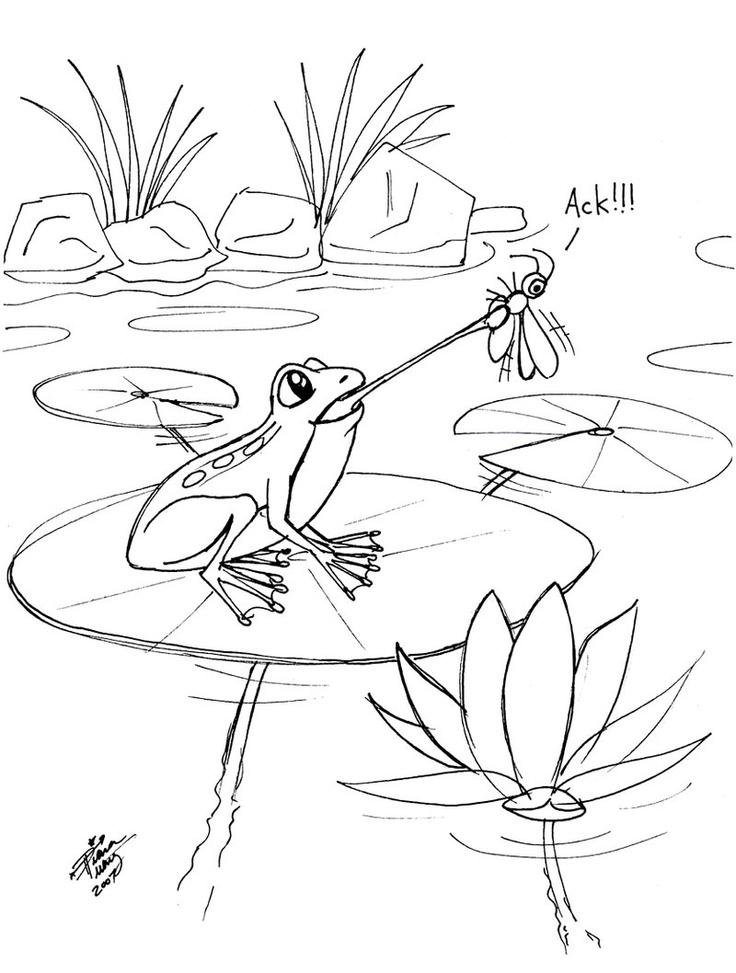 Рисунки к сказке лягушка путешественница карандашом