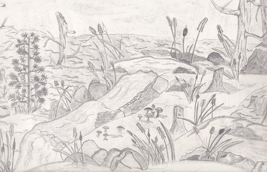 Рисунок болота карандашом