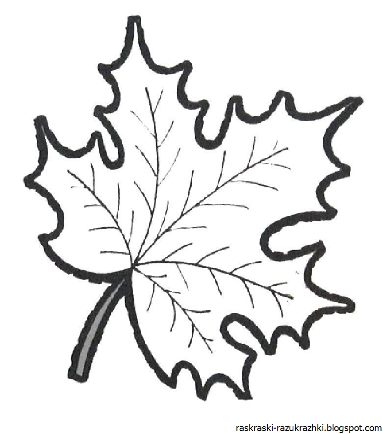Кленовый лист раскраска