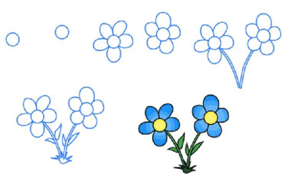 Схема поэтапного рисования для детей. Поэтапное рисование цветов. Рисование цветов для детей. Поэтапное рисование цветов для детей. Схемы рисования цветов для детей.