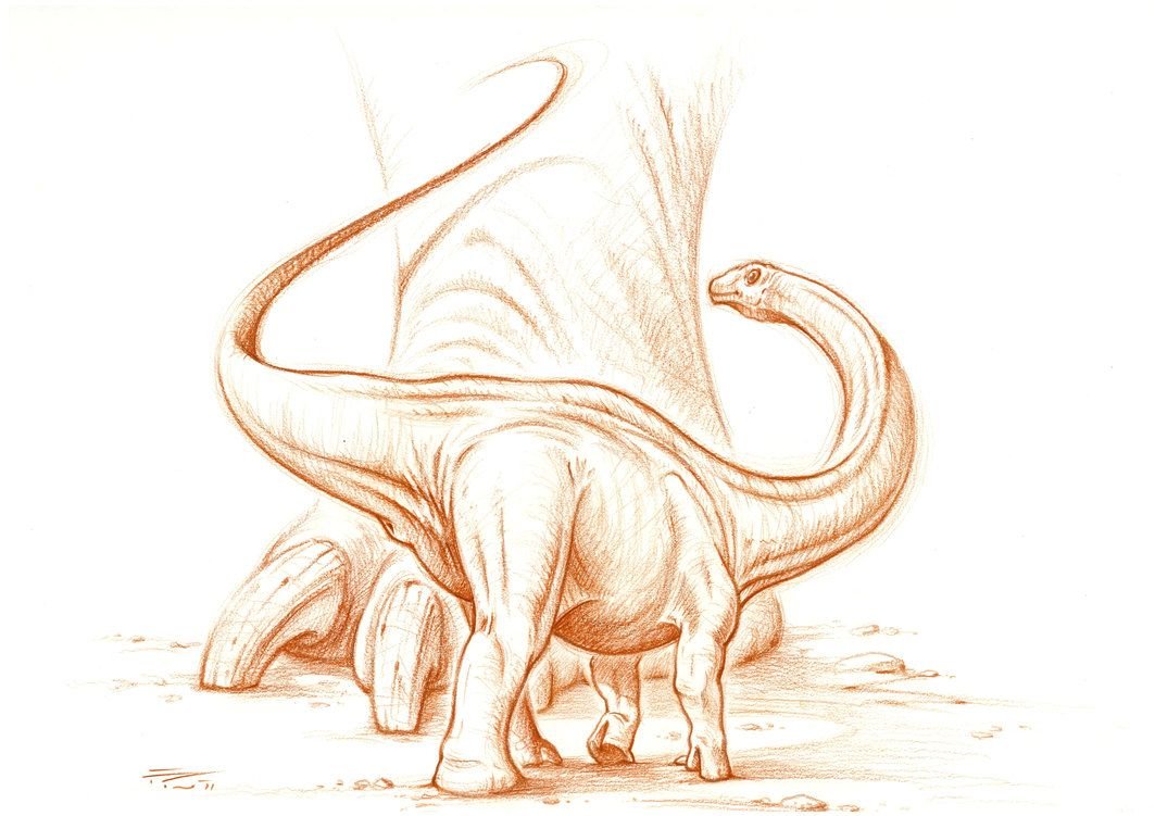 Бронтозавр карандашом