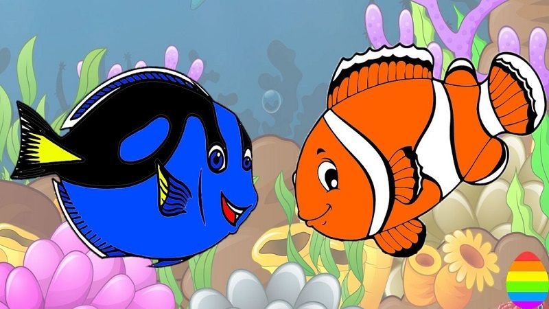 Рыбка немо рисунок (48 фото) скачать бесплатно