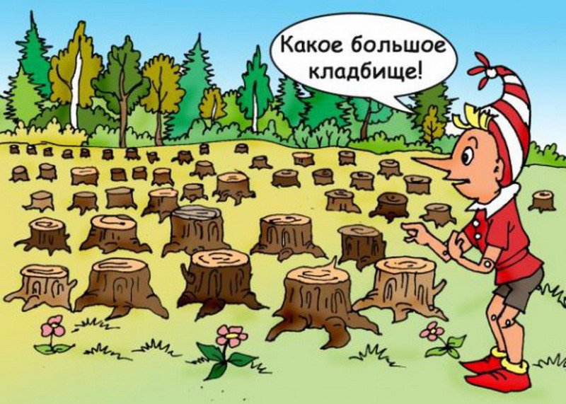 Вырубка лесов рисунок (42 фото) скачать бесплатно