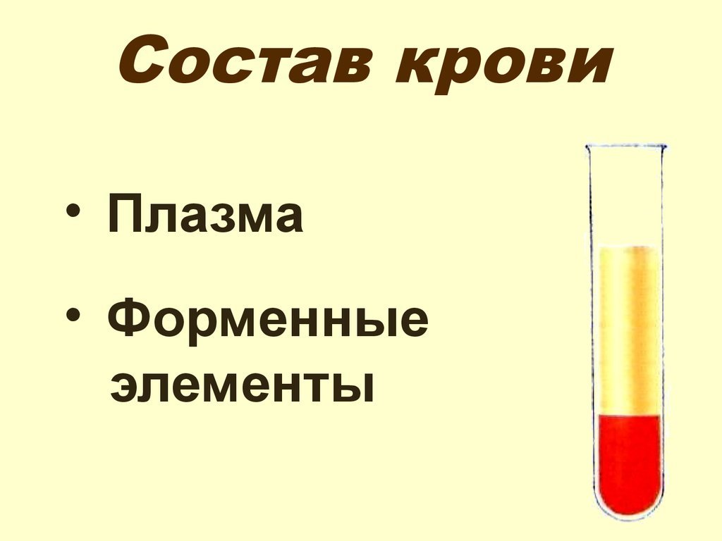 Плазма крови рисунок (47 фото) скачать бесплатно
