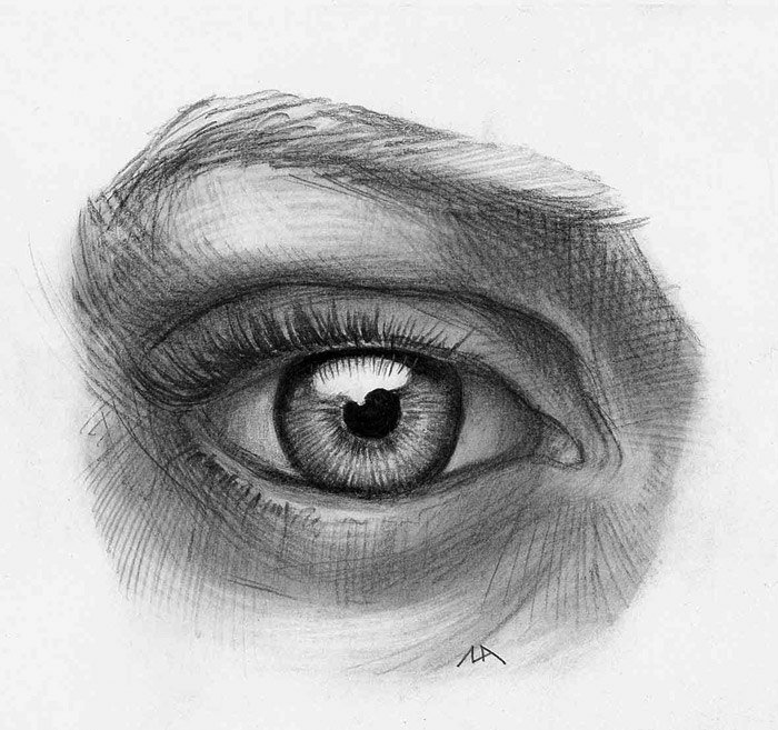 Человеческий глаз карандашом