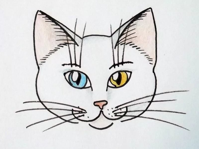 Рисование морды кота