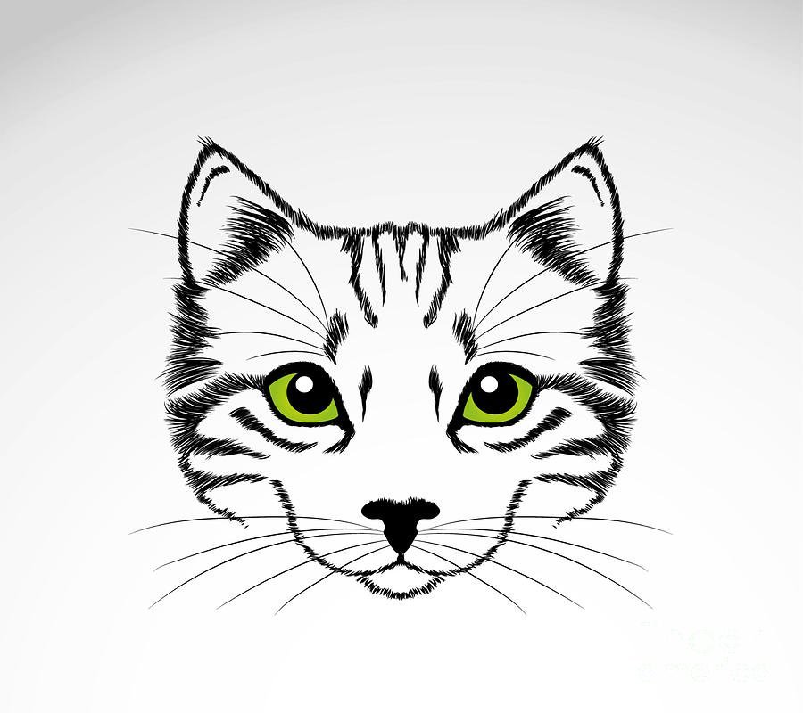 Кошачья мордочка рисунок