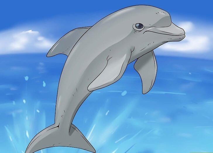 Дельфины рисование