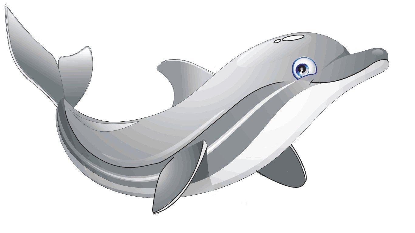 Дельфин картинка для детей