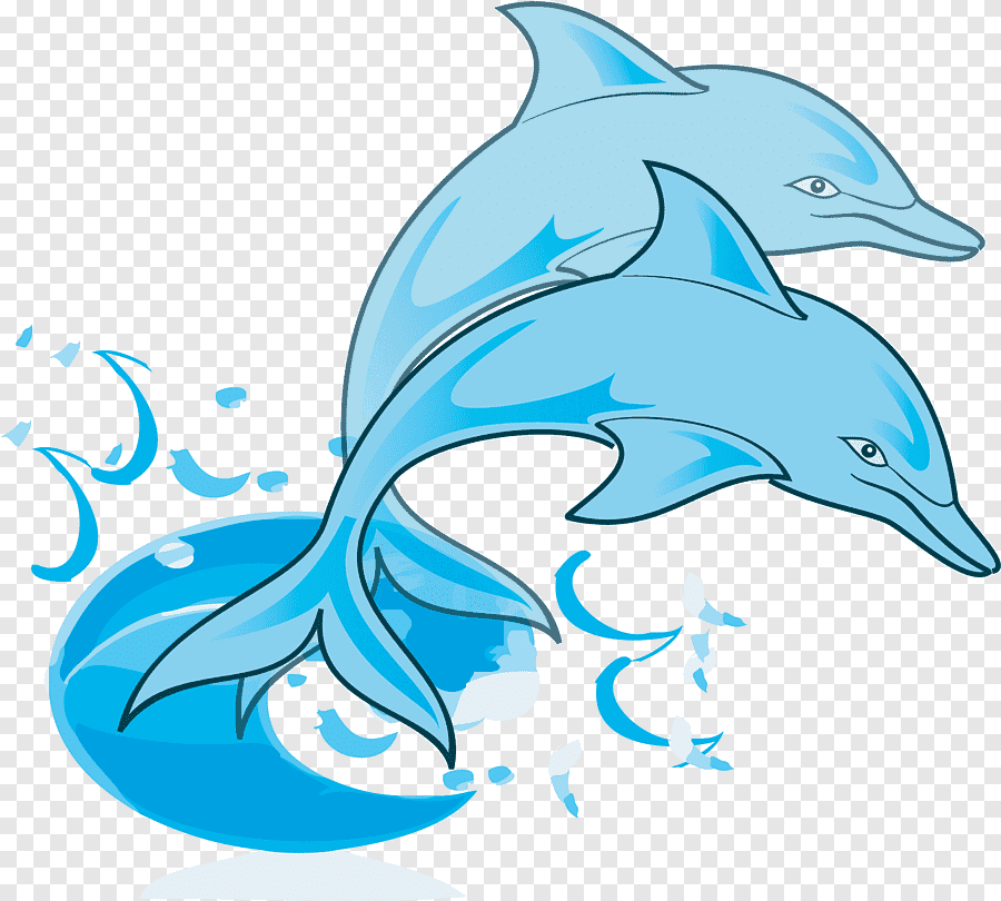 Дельфинчик на прозрачном фоне