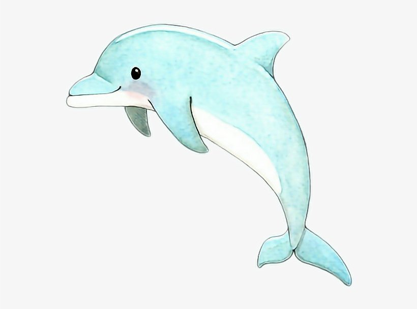 Дельфин аниме