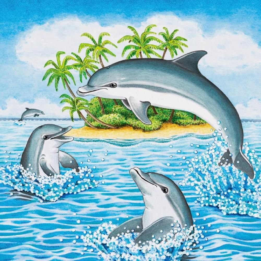 Красивые рисунки дельфинов