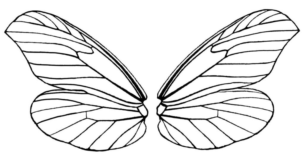 Крылья бабочки раскраска