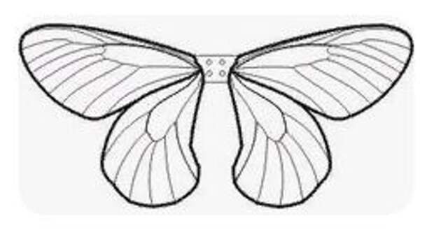 Крылья бабочки шаблон