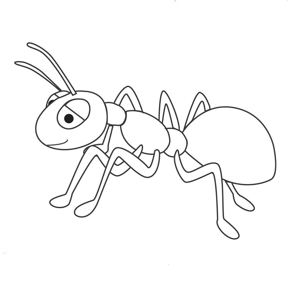 Насекомые муравей раскраска для детей 6-7 лет