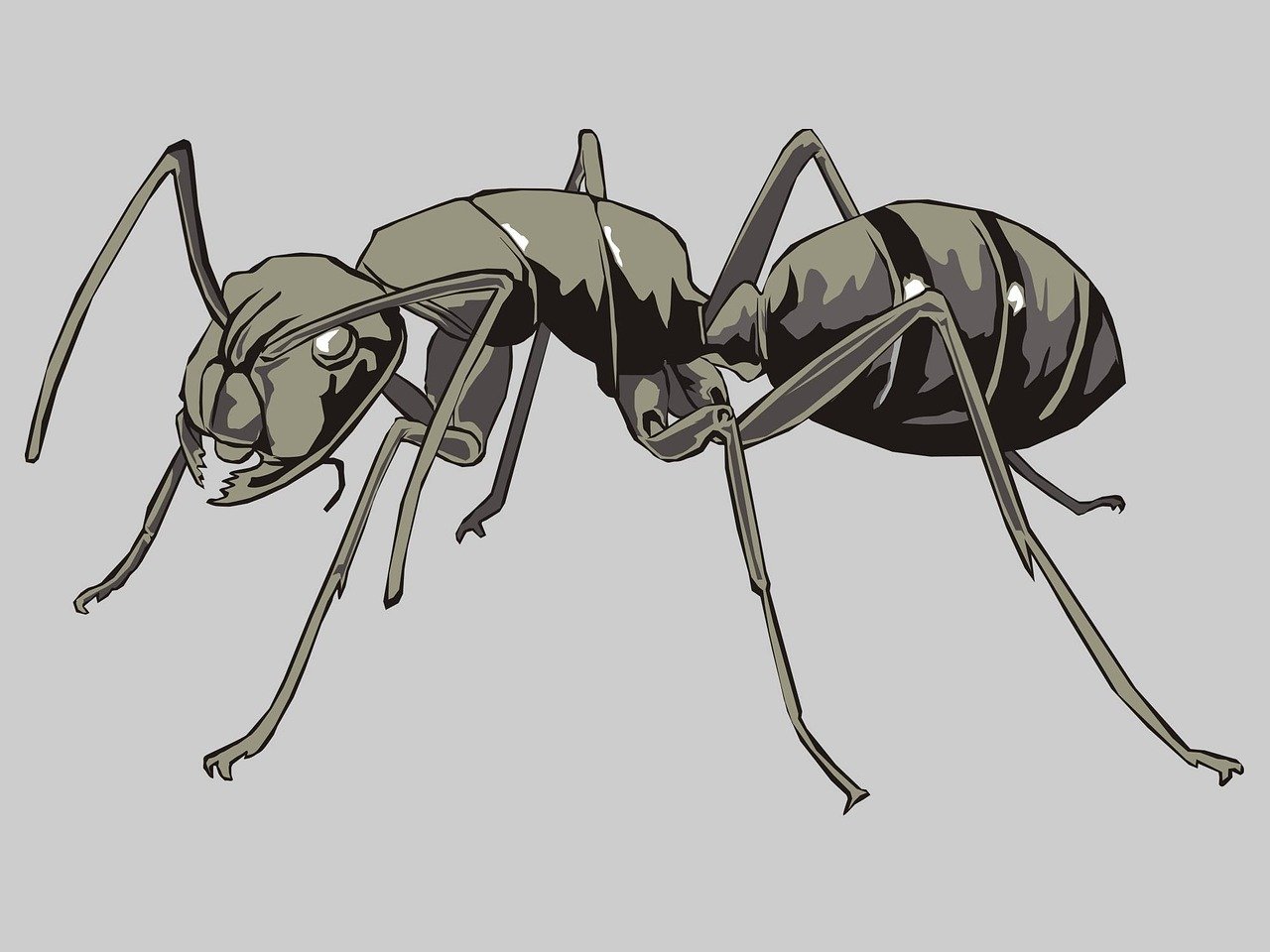 Стилизованный муравей