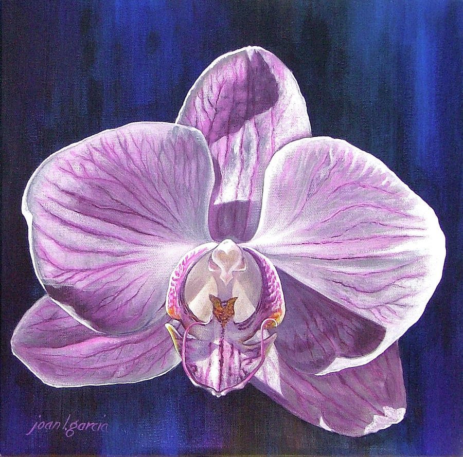 Орхидея референс